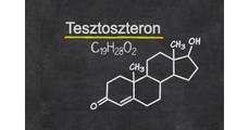 Tesztoszteron és prosztatarák. A gyenge 