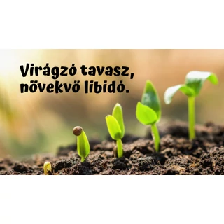 Így hat libidódra a tavasz... melatonin, libidó