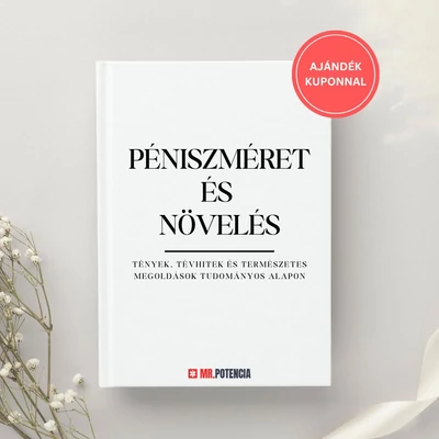 PÉNISZMÉRET ÉS NÖVELÉS E-BOOK